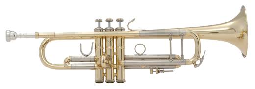 18072 - Trompette professionnelle en Sib - Pavillon #72 - Vernie