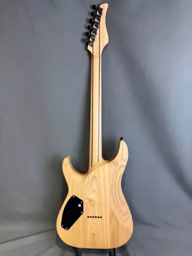 Store Special Product - Schecter - 1500-SHC