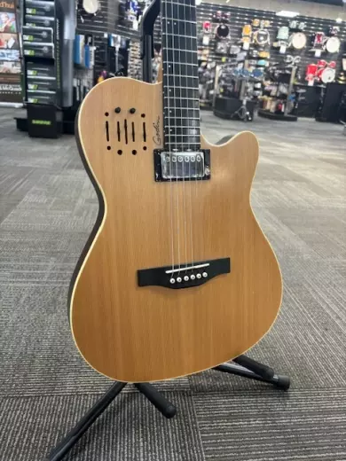 Store Special Product - Godin Guitars - G30293