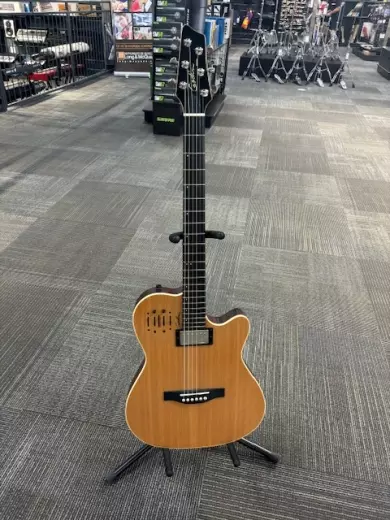 Store Special Product - Godin Guitars - G30293