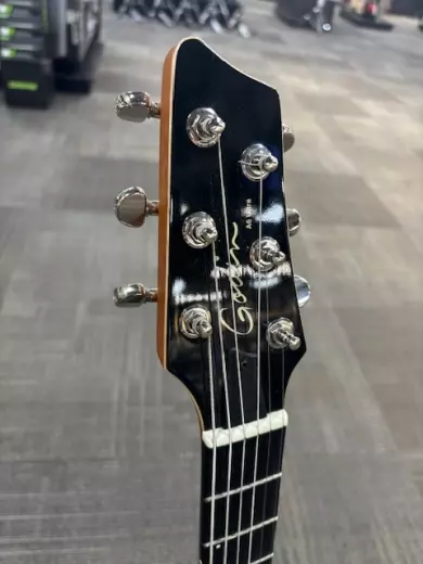 Store Special Product - Godin Guitars - G30293