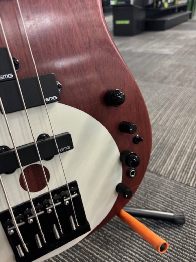 Store Special Product - Fodera - YY4-STD-P/O