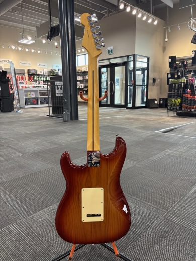 Store Special Product - Fender - 011-3902-747