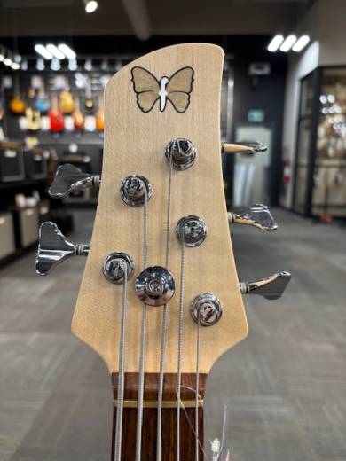 Store Special Product - Fodera - E5JCL-R-CAR-T