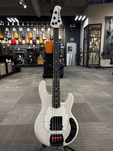 Store Special Product - Ernie Ball Music Man - 217-TC4-51-06