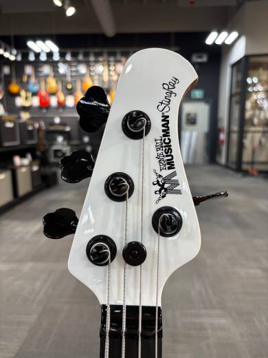 Store Special Product - Ernie Ball Music Man - 217-TC4-51-06