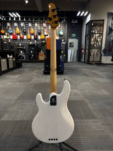 Store Special Product - Ernie Ball Music Man - 217-TC4-51-06