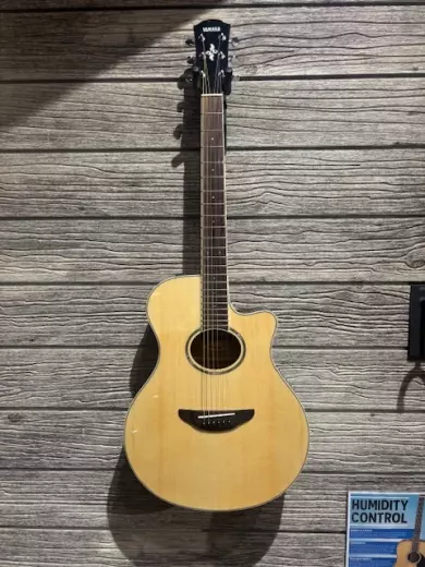 Store Special Product - Yamaha - APX600 NT