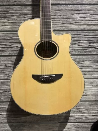 Store Special Product - Yamaha - APX600 NT
