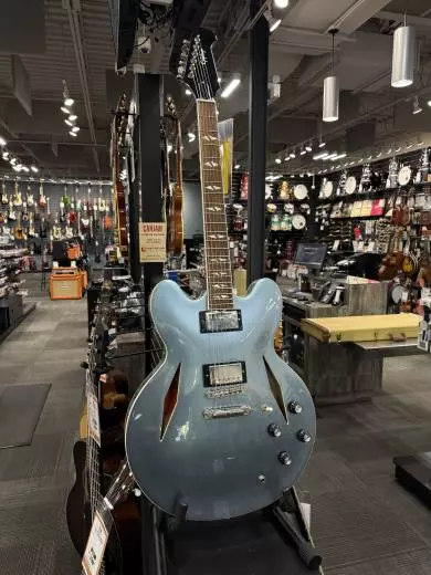 Store Special Product - Epiphone - EIGCDG335PENH