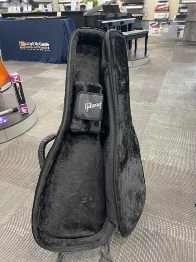 Store Special Product - Gibson - GIBCASESC/BK