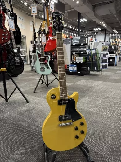 Store Special Product - Epiphone - EILPTVNH