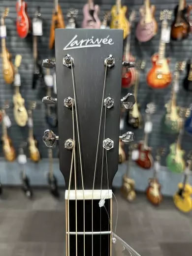 Store Special Product - Larrivee - D40 RW