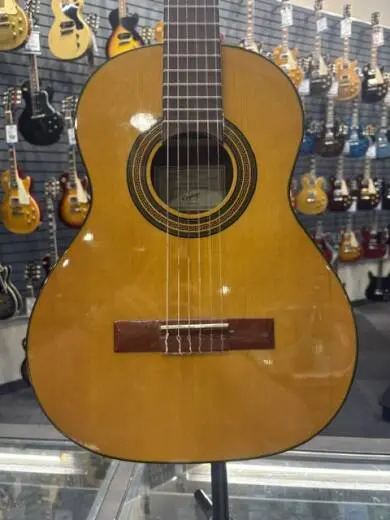 Store Special Product - Epiphone - EAPC3ANCH