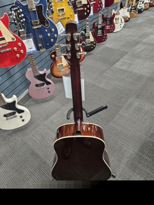 Store Special Product - Seagull Guitars Coastline Momentum HG A/E