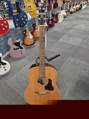 Store Special Product - Seagull Guitars Coastline Momentum HG A/E