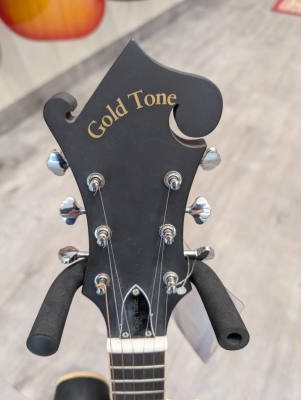 Store Special Product - Gold Tone - GT-F6