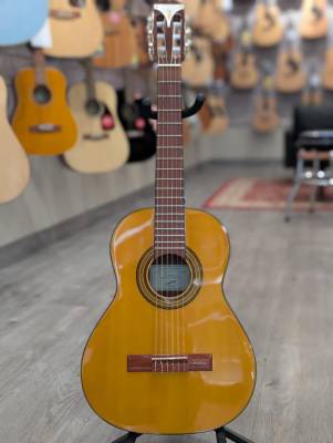 Store Special Product - Epiphone - EAPC3ANCH
