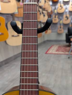 Store Special Product - Epiphone - EAPC3ANCH