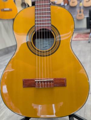 Store Special Product - Epiphone - EAPC3ANCH