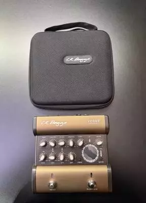 Store Special Product - L.R Baggs - LR-VENUEDI