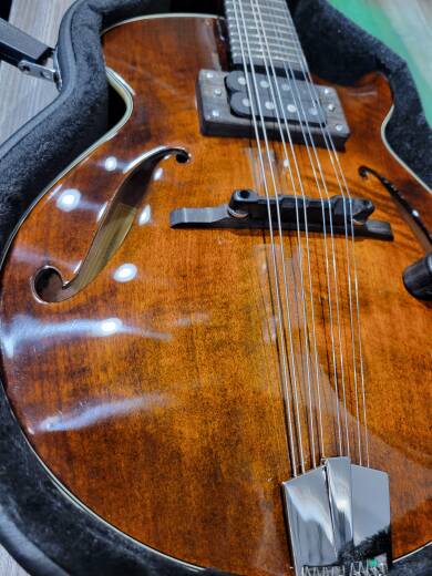 Store Special Product - Eastman Guitars - ER-M