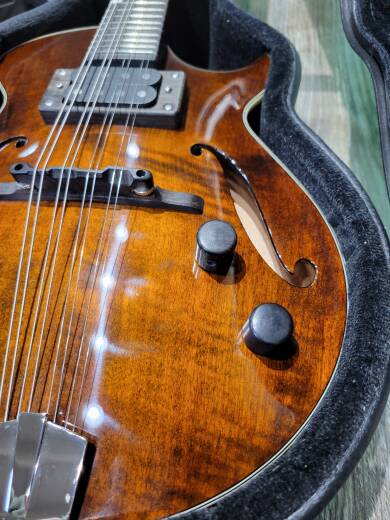 Store Special Product - Eastman Guitars - ER-M