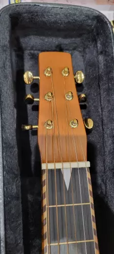 Store Special Product - GOLDTONE ALL SOLID MAH WEISSENBORN W/CASE - GT-SM+