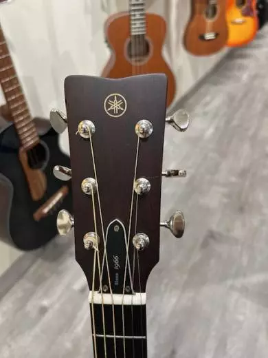 Store Special Product - Yamaha - FG3