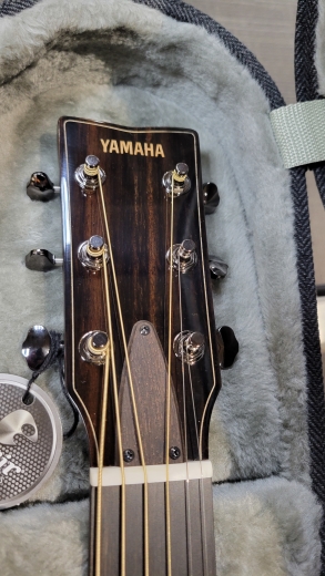 Store Special Product - YAMAHA PREMIUM CONCERT FS-IRW, ADSP W/HSC - FS9 R