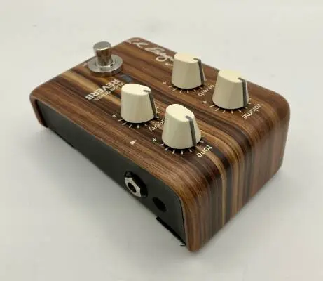 Store Special Product - L.R Baggs Align Reverb pedal