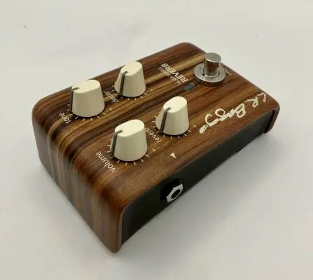 Store Special Product - L.R Baggs Align Reverb pedal