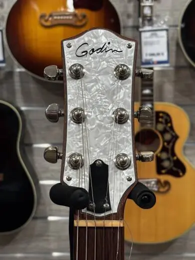 Store Special Product - Godin Guitars - G48465