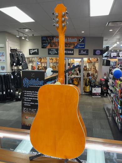 Store Special Product - Epiphone - EEDVVBNH