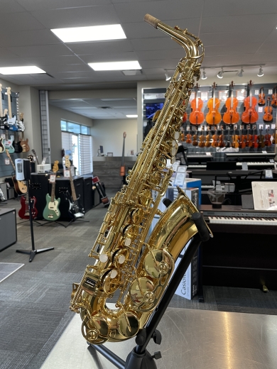 Store Special Product - Jupiter - JUP567GL