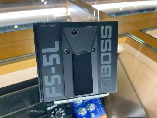 Store Special Product - BOSS - FS-5L