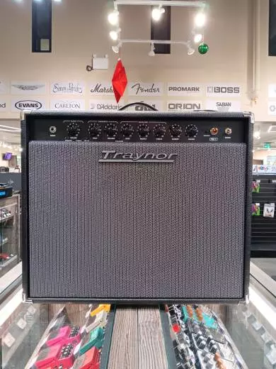 Store Special Product - Traynor - YGL2 Combo Amp