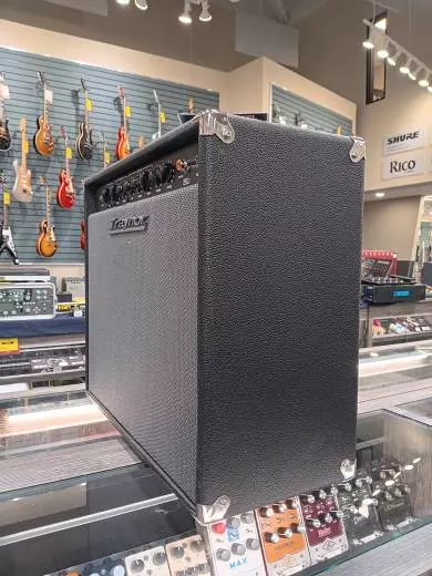 Store Special Product - Traynor - YGL2 Combo Amp