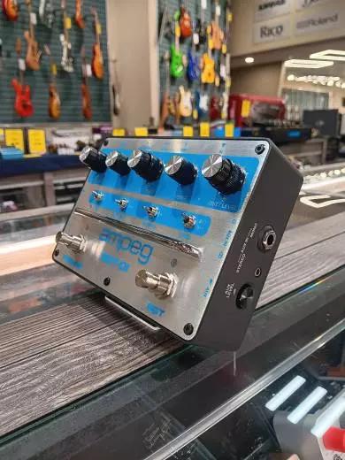 Store Special Product - Ampeg - SGTDI BLUE LINE