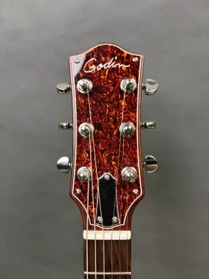Store Special Product - Godin Guitars - G48458