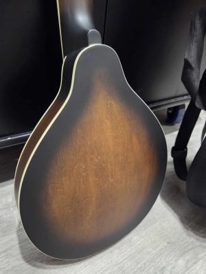 Store Special Product - Gold Tone - A-6 SB
