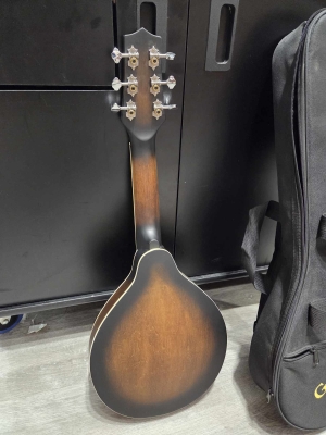 Store Special Product - Gold Tone - A-6 SB