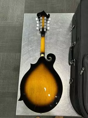 Store Special Product - Gold Tone - GM-35