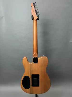 Store Special Product - Fender - 097-3113-534