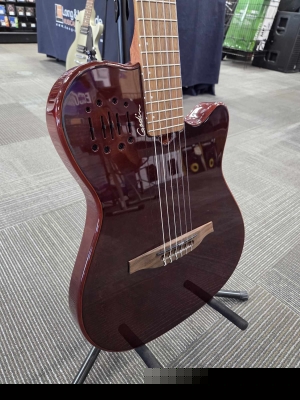 Store Special Product - Godin Guitars - G52417
