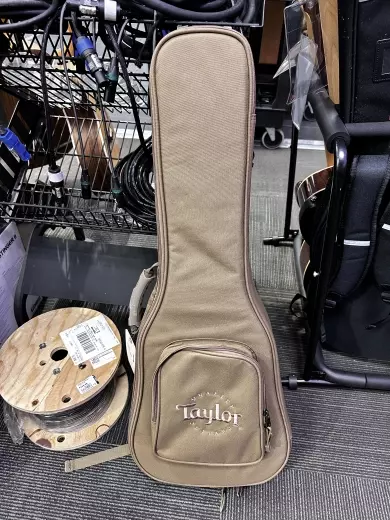 Store Special Product - Taylor Guitars - T61010