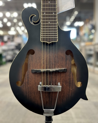 Store Special Product - Gold Tone - F6 Mando-Guitar w/ Pickup