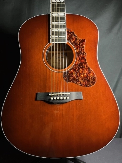 Store Special Product - Godin Guitars - G47918