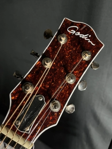 Store Special Product - Godin Guitars - G47918