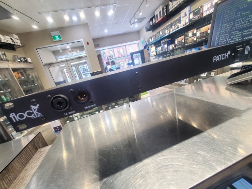 Store Special Product - Flock Audio - PLT